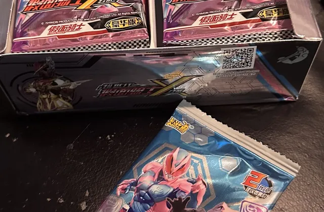 Kamen Rider X: The TV Show you Never Knew