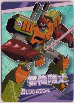 TF01-R-030