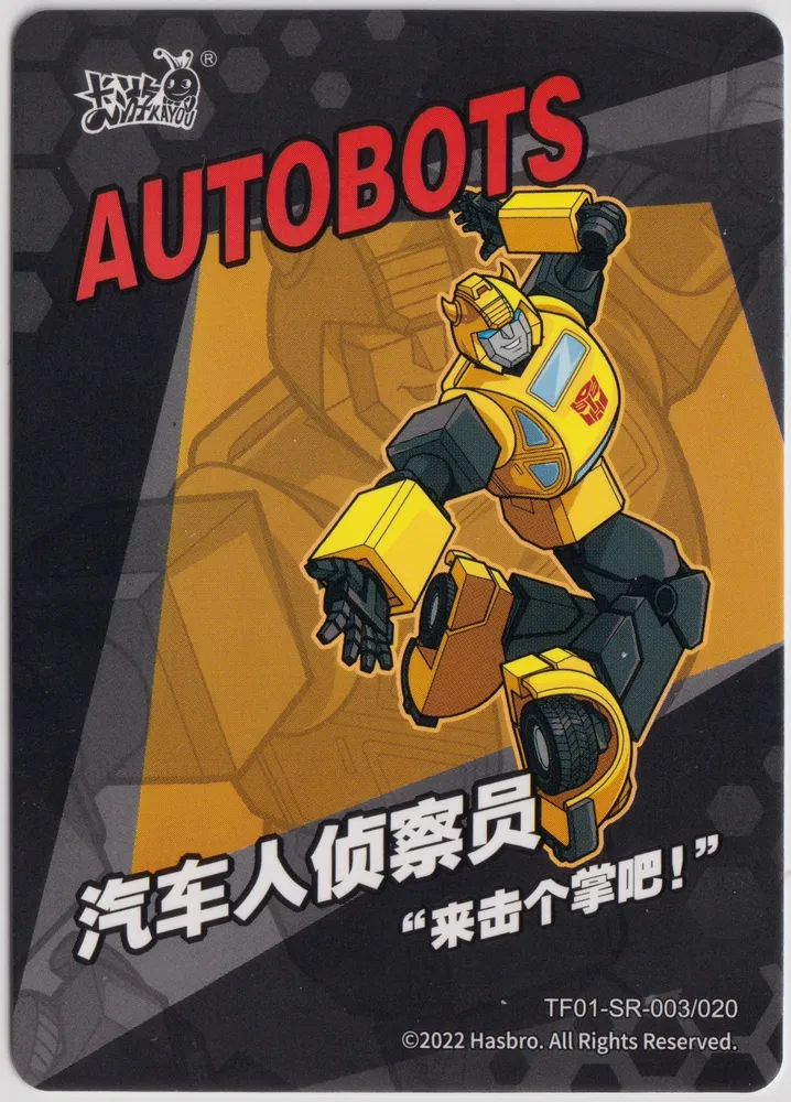 TF01-SR-003 view 2