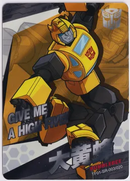 TF01-SR-003