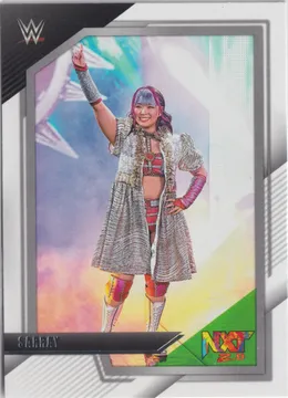 Sarray: NXT-64