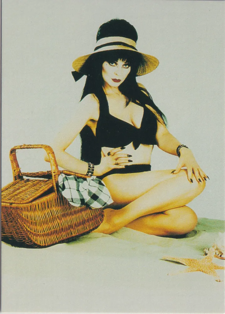 Elvira 15 of 72, Mistress of the Dark, Comic Images