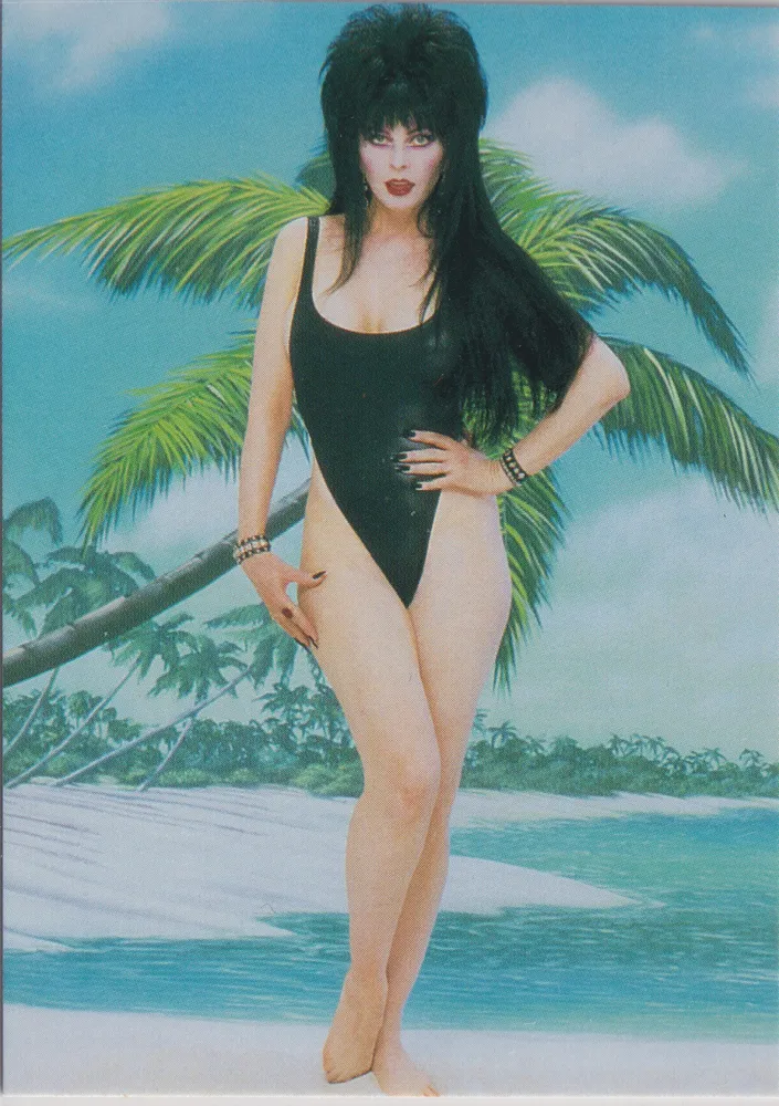 Elvira 24 of 72, Mistress of the Dark, Comic Images