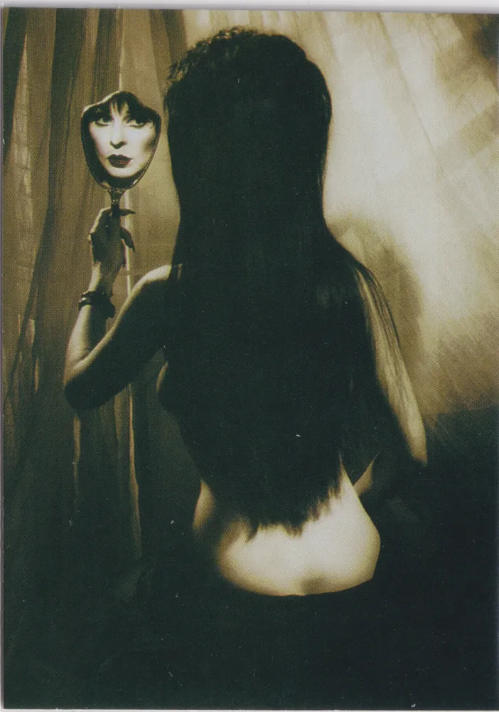 Elvira 62 of 72, Mistress of the Dark, Comic Images