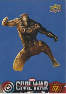 Marvel Civil War, Black Panther: CW36