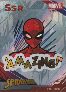 Spiderman 60th: SPM01-SSR30