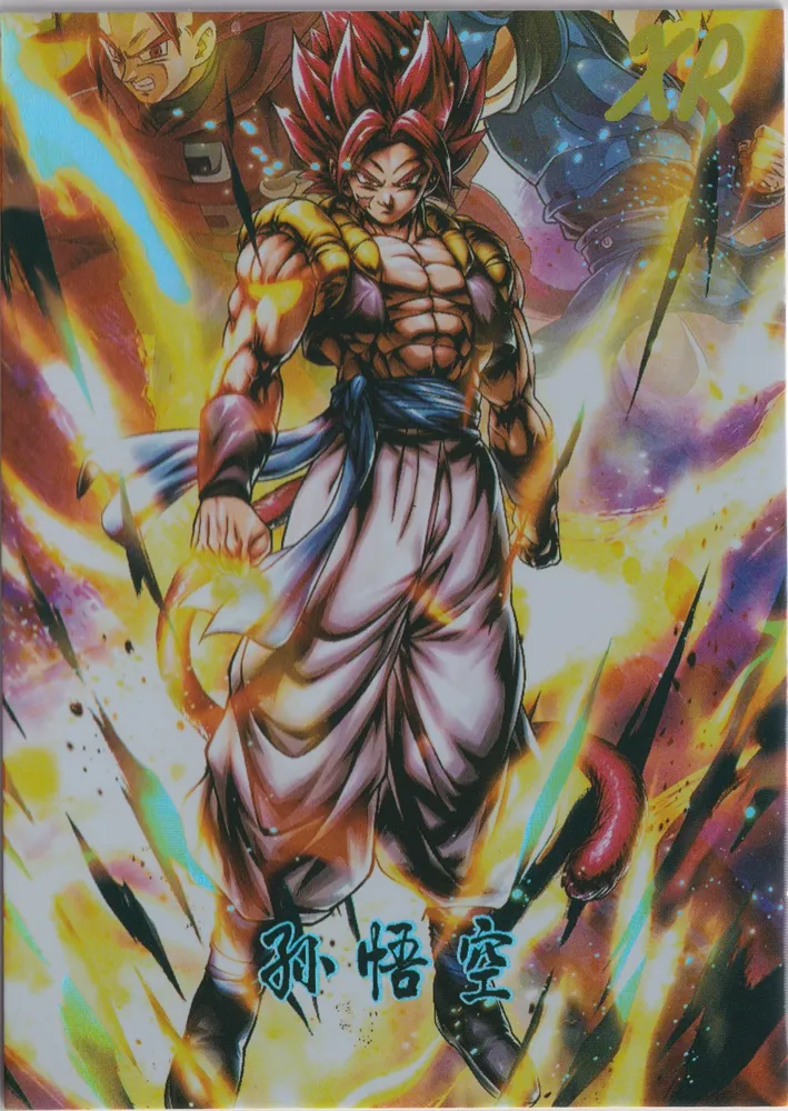 Dragon Ball X One Piece: dbop_xr-01