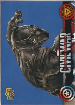 Marvel Civil War, Black Panther: CW17