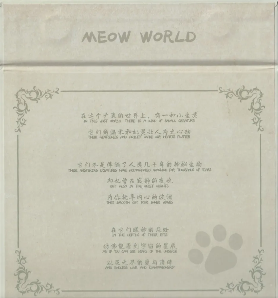 Meow World: Box view 23