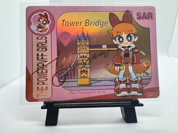 The Powerpuff Girls, Blossom: PP-SAR-02