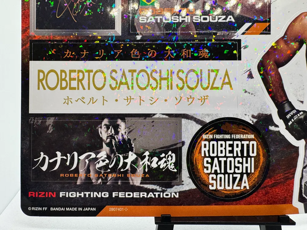 RIZIN Fighting Federation, Roberto Satoshi Souza view 6