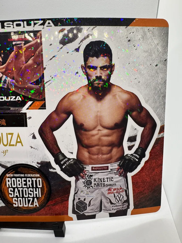 RIZIN Fighting Federation, Roberto Satoshi Souza view 7