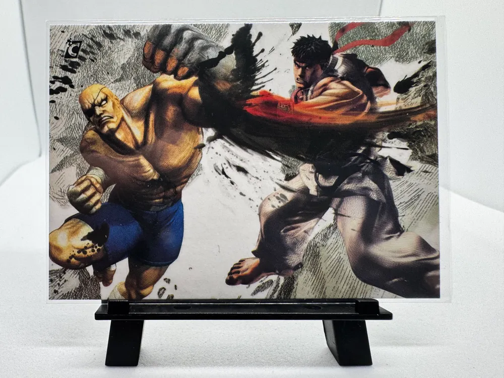 Street Fighter, Ryu, Sagat: VS2