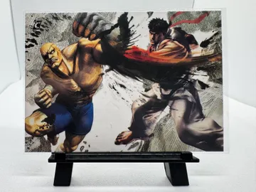 Street Fighter, Ryu, Sagat: VS2