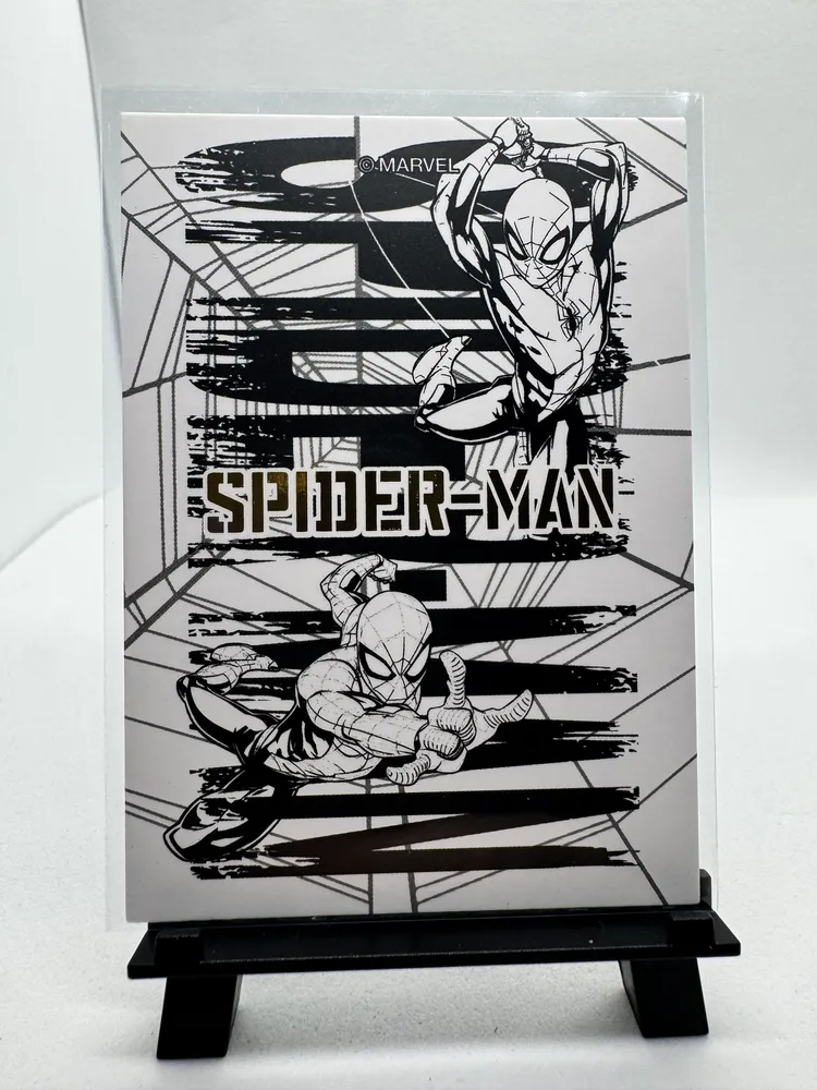 Marvel, Spider-Man (Peter Parker): SPM01-PR04 view 2