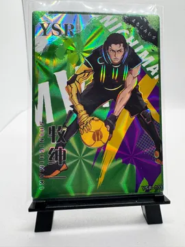 Slam Dunk, Maki Shinichi: YSR-003